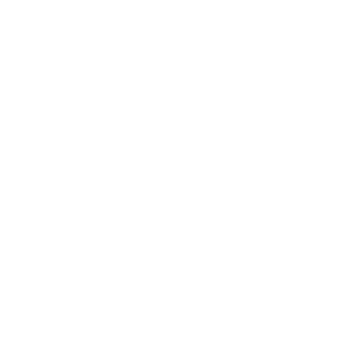 Shila T-Shirts Collection